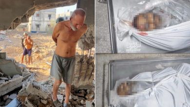 صورة حرب الابادة..حكاية مسنَّين أعدمهما الاحتلال بعد إجبارهما على حماية جنوده في غزة