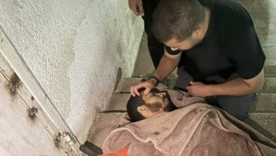 صورة استشهاد الناشط صالح الجعفراوي على يد مليشيا مسلحة بغزة