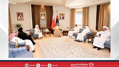 صورة وزير الداخلية يستقبل رئيس مجموعة العمل المالي لدول الشرق الأوسط وشمال أفريقيا
