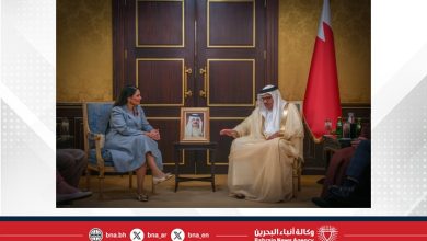 صورة وزير الخارجية يلتقي وزيرة الدولة للشؤون الخارجية والكومنولث والتنمية في حكومة الظل البريطانية وأعضاء من مجلس اللوردات والبرلمان البريطاني