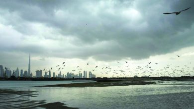 صورة انخفاض تدريجي في درجات الحرارة