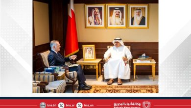 صورة وزير الخارجية يستقبل المدير التنفيذي للمعهد الدولي للدراسات الاستراتيجية في الشرق الأوسط
