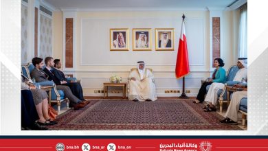 صورة وزير الخارجية يستقبل عددًا من المساعدين البرلمانيين من المملكة المتحدة