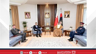 صورة وزير الداخلية يستقبل السفير الألماني ويبحث معه تطوير العمل المشترك