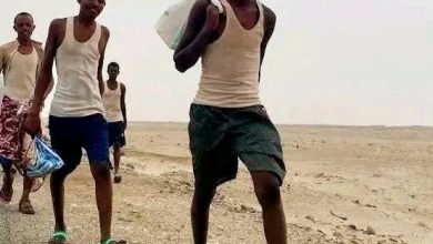 صورة أعداد كبيرة من الأفارقة دخلوا اليمن خلال أكتوبر في أعلى معدل شهري منذ عام بنسبة زيادة 99%