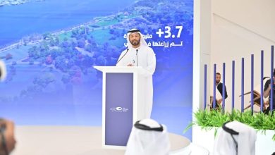 صورة «مدينة الـ 20 دقيقة» في دبي لتمكين 80% من السكان الوصول لاحتياجاتهم اليومية سيراً على الأقدام