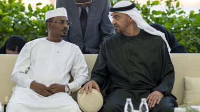 صورة رئيس الدولة يؤكد حرص الإمارات على تعزيز شراكاتها التنموية مع الدول الإفريقية