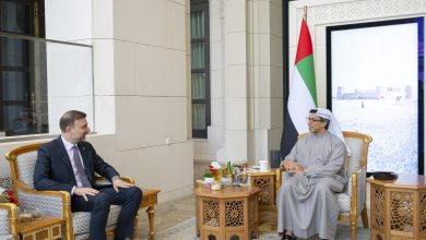 صورة منصور بن زايد والسفير اللبناني يستعرضان تعزيز التعاون