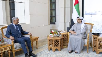 صورة منصور بن زايد يؤكد حرص الإمارات على دعم الجهود التنموية في إفريقيا