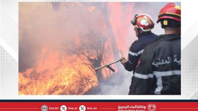 صورة استمرار حرائق غابات تيبازة وجهود جوية وبرية مكثفة لإخمادها