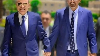 صورة الرئيس العليمي يشرعن لقرارات عيدروس الزبيدي الباطلة
