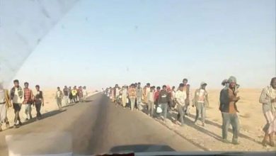 صورة أكثر من ألفي لاجئ وطالب لجوء دخلوا اليمن هذا العام