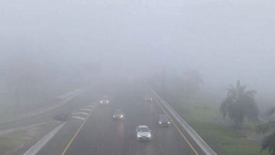 صورة “الوطني للأرصاد” يحذر من تدني مدى الرؤية بسبب تشكل الضباب