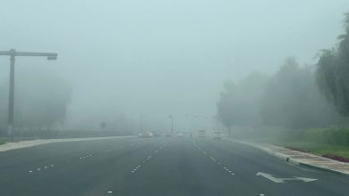 صورة ضباب كثيف يعيق حركة المركبات.. وجِهات عمل تمنح موظفيها «حضوراً متأخراً»