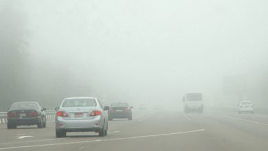 صورة “الوطني للأرصاد” يحذر من تدني الرؤية بسبب الضباب