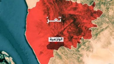 صورة اشتباكات مسلحة بين مسلحين قبليين وقوات طارق صالح غربي تعز ورجال القبائل يسيطرون على جبال الرواجب
