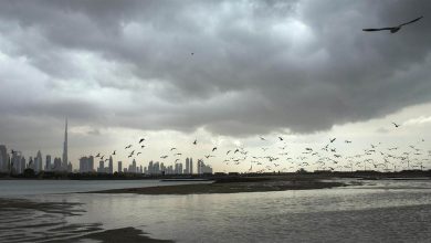 صورة طقس الغد صحو غائم جزئياً
