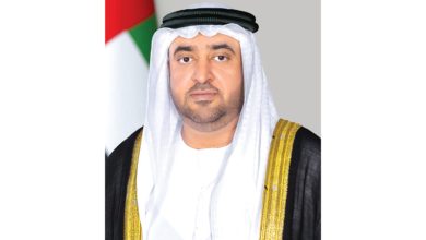 صورة رئيس الدولة يمنح محمد بن حمدان درجة رئيس دائرة