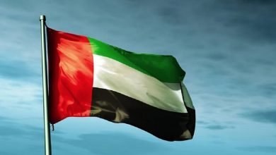 صورة الإمارات تخصص مليار دولار لدعم قطاع الطاقة في اليمن
