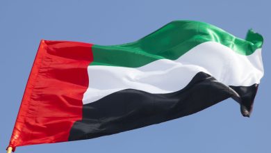 صورة الإمارات تفتتح غدا جناحها في معرض الدفاع المصري 2025