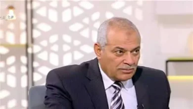 صورة تصدير الفائض.. هل يعيد التوازن لقطاع الدواجن والبيض؟
