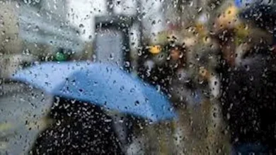 صورة نصائح ضرورية للتعامل في ظل تقلبات الطقس