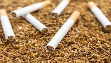 صورة تأثير دمج التبغ مع القنب على الدماغ.. دراسة تكشف