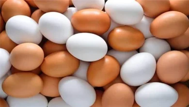 صورة البيض الكامل أم البياض فقط.. أيهما أفضل للجسم؟