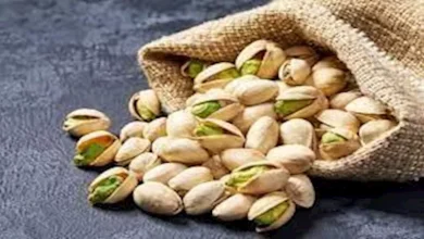 صورة الفستق أم الفول السوداني.. أيهما أفضل لصحتك؟