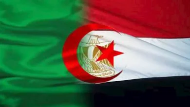 صورة تحرك مشترك بين مصر والجزائر لتصدير المعدات لغرب أفريقيا