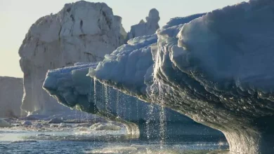 صورة مثل عالم آخر.. فيديو مرعب للقارة القطبية الجنوبية في درجة حرارة -62