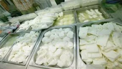 صورة انخفاض أسعار الجبن واللحوم اليوم 14-11-2025 بالأسواق