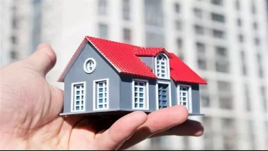 صورة صندوق أراض ومنصة عقارات للمستثمرين.. هل سيكونان مصدرا مستداما للعملة
