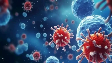 صورة مرض شديد الخطورة.. ما هو فيروس ماربورغ؟