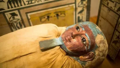 صورة بعد افتتاح المتحف المصري الكبير.. خبير يكشف أسرار التحنيط عند “الفراعن
