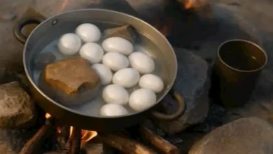 صورة لماذا يضيف البعض الحجارة إلى الماء عند سلق البيض؟.. لن تصدق السبب