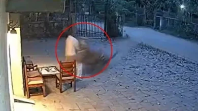 صورة هجوم شرس من نمر على رجل هندي أثناء عمله.. فيديو حقيقي أم ذكاء اصطناعي؟