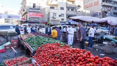 صورة 8 جنيهات لكيلو الطماطم.. أسعار الخضروات في سوق العبور 14-11-2025