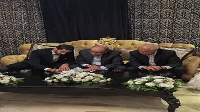 صورة “أختي وصديقة مشوار النجاح”.. تامر حسني يهنئ مي عز الدين بعقد قرانها