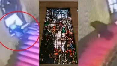 صورة سقط بطريقة صادمة.. سياسي إيطالي يحطم قطعة فنية نادرة بالصدفة (فيديو)