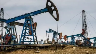 صورة جمانة1.. كشف غاز جديد في صحراء مصر الغربية