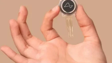 صورة ما هي شريحة “N1” التي تسرع أداء الواي فاي البطيء؟