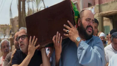 صورة عرض “السادة الأفاضل” في 13 دولة وإيراداته في مصر تقترب من 53 مليون جني