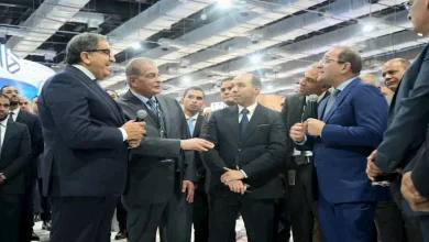 صورة المالية تؤكد أهمية استخدام الذكاء الاصطناعي في المنظومة الضريبية