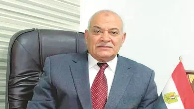 صورة شعبة الدواجن: وفرة الإنتاج الحالية فرصة لضبط الأسعار في رمضان