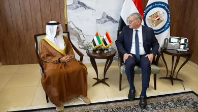 صورة مباحثات مصرية إماراتية لتعزيز التعاون في البمباحثات مصرية إماراتية لتع