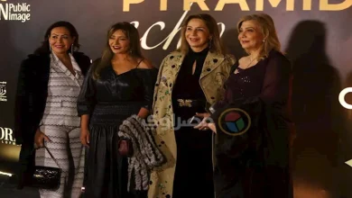 صورة نجوم الفن في حفل مهرجان “صدى الأهرامات”