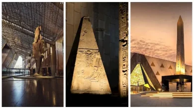 صورة كريم عبد العزيز يحتفي بافتتاح المتحف الكبير: “يوم فخر لكل مصري”كريم عب