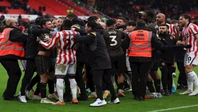 صورة شجار جماعي بين اللاعبين والمشجعين في مباراة بالدوري الإنجليزي