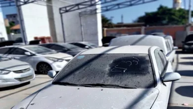 صورة بعد نشر التفاصيل.. شاهد بالصور سيارات جمرك بورسعيد المعروضة بالمزاد